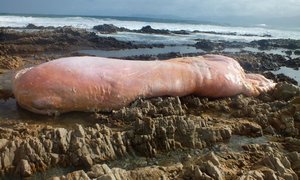 STORMSKADE IN OVERSTRAND